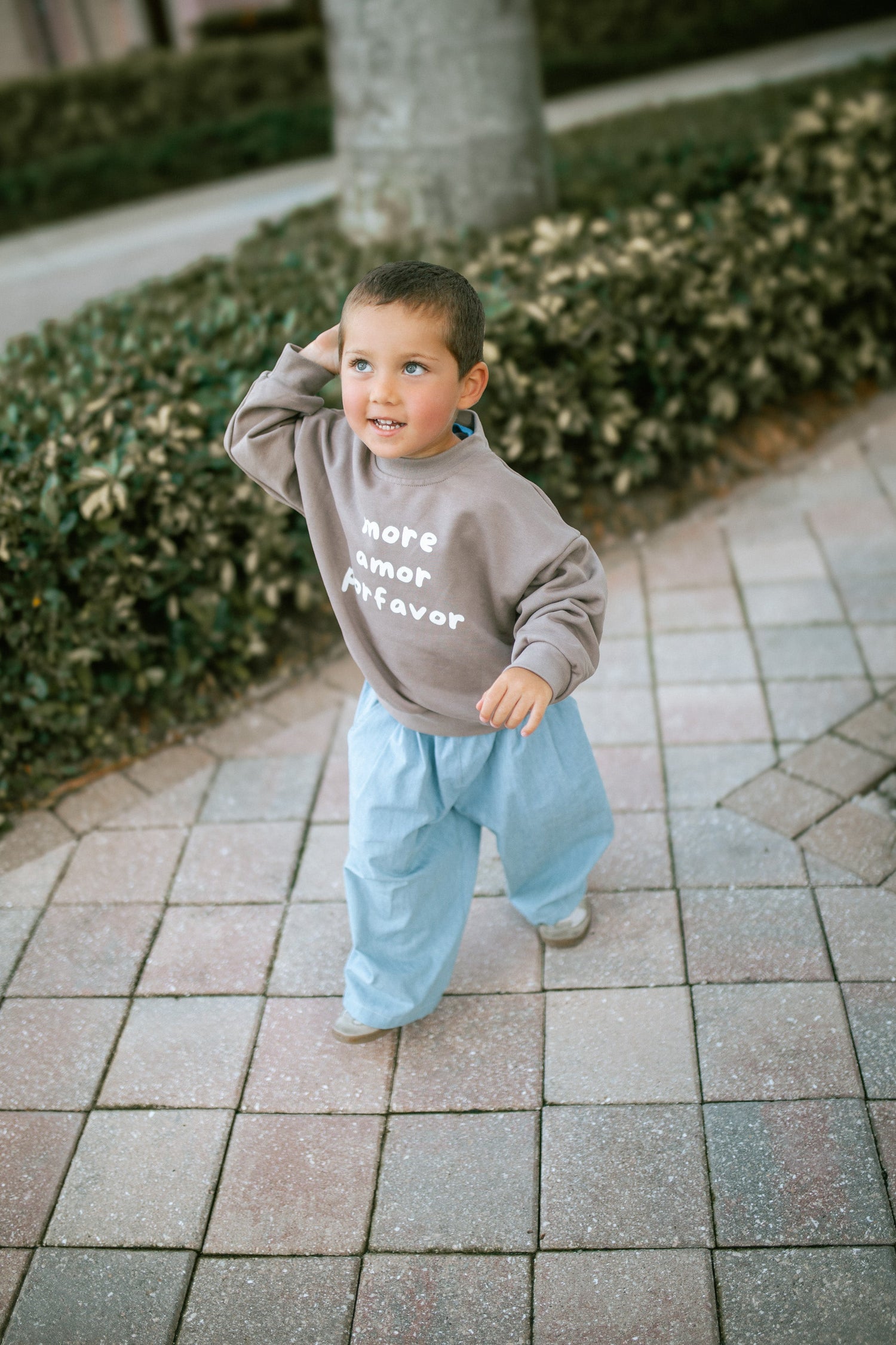 Sweatshirts